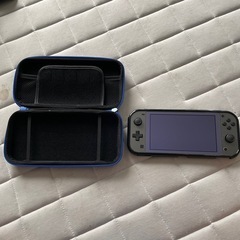 Switch lite 特別デザイン
の画像