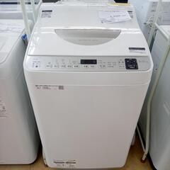 土門熱•谷根千•まつたけ弥太郎•深川緑•あさぎ夕•四ツ谷サイダー