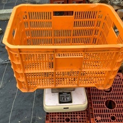 キャンプ薪　　20キロ ¥1000の画像