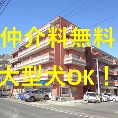 🐱募集中】桑野～1R（19.5帖）～お洒落なヴィンテージマンショ...