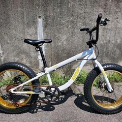 B438 値下げしました　ファットバイク★Eizer★F120★...
