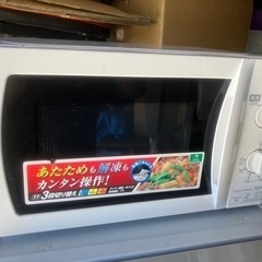 Iris Oyama 電子レンジ　2017年