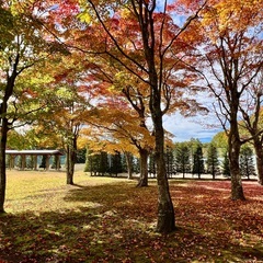 人気テニスクラブの広い芝生開催！「紅葉マルシェ＠北軽井沢テニス倶楽部」　出店者募集中 - フリーマーケット