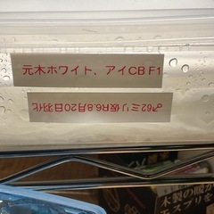 家で最後の元木ホワイト・アイの画像