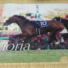 有馬記念　クリアファイル　エフフォーリア