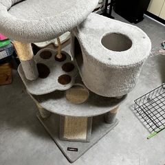 キャットタワーもらってください！の画像