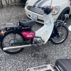 　エンジン好調スーパーカブ50 の画像