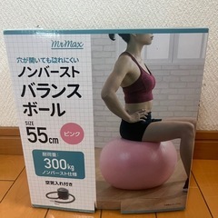 ‼️予定者確定‼️ダイエットグッズ バランスボール