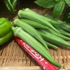 朝どれ無農薬　ネバネバ野菜と薬味、ピーマンセット