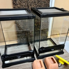 爬虫類ケージ グラステラリウムナノx2, レプタイルボックス x2など用品をセットでお譲りしますの画像