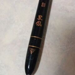 チヌ　自立ウキ　３Ｂの画像