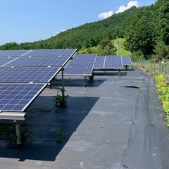 低圧太陽光発電所の草刈り兼スマホで簡単な写真撮りの画像