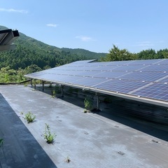 低圧太陽光発電所の草刈り兼スマホで簡単な写真撮り