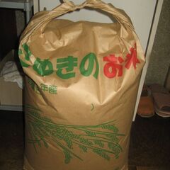 令和5年産　コシヒカリ　30k　減農薬　高松西