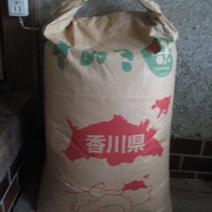 令和5年産　ヒノヒカリ　30kg　減農薬　