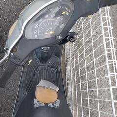 HONDA　DIO 不動の画像