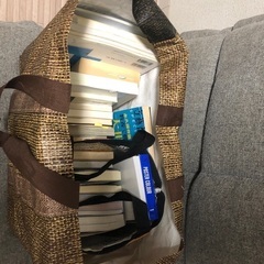 ソファベット・座椅子の画像