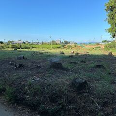 　農業　林業　キャンプ　