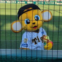 マイペースにやり取りできるお友達募集します 