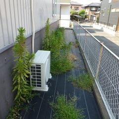 草刈の補助作業