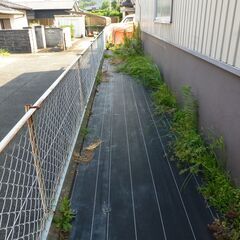 草刈の補助作業の画像