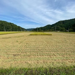新米6年度産　コシヒカリ　新規受付終了
の画像