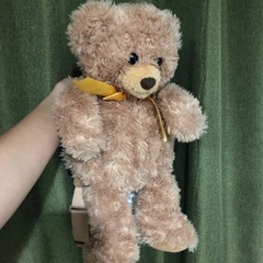 クマちゃんリュック
