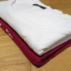 綿100%　レディース　半袖　Tシャツ　2点セットの画像