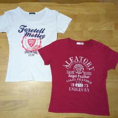 綿100%　レディース　半袖　Tシャツ　2点セットの画像