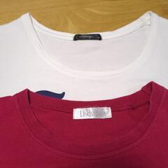 綿100%　レディース　半袖　Tシャツ　2点セットの画像
