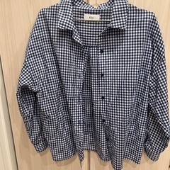 AZUL レディースシャツ