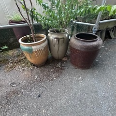 【一旦締切】壺、植木鉢等の画像