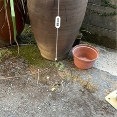 【一旦締切】壺、植木鉢等の画像