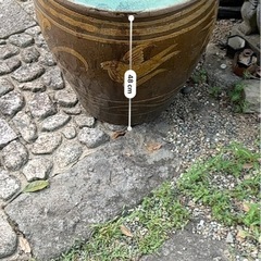 【一旦締切】壺、植木鉢等の画像