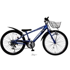 アサヒ自転車　ジュニア用　DRIDE の画像