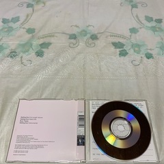 【輸入盤】 Ｓｅｔｔｉｎｇ Ｓｕｎ／ケミカルブラザーズの画像