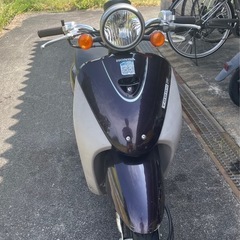 HONDA TODAY AF67
