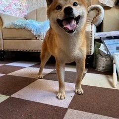 素敵なオーナー様が決まりました⭐️