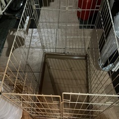 猫のゲージ2の画像