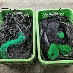 野菜栽培用ネット　(生姜ネット)