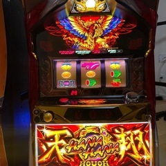 ハナハナの中古が安い！激安で譲ります・無料であげます(3ページ