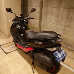 マジェスティｓの画像