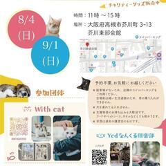 【保護猫の譲渡会】大阪府高槻市　9/1(日)