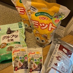 【⠀条件で無償】モルモットのおやつなど