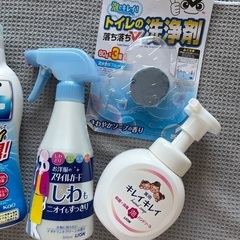 引越しのため不要になった家庭用洗剤各種の画像