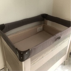 ココネルエアー　（ココア）の画像