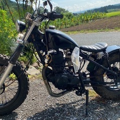 tw200
の画像