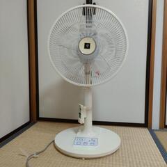 【お取引早い方優先】首振り扇風機シャープ