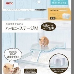 グラスハーモニーセット🐹