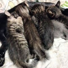 たくさん産まれました。